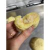 PÃO DE QUEIJO RECHEADO PIZZA 1kg CX 4 KILOS - Image 3